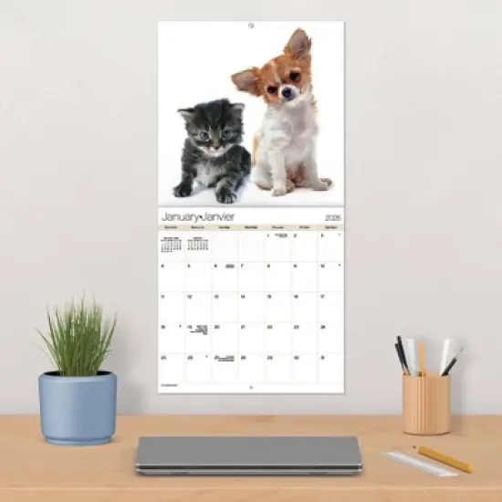 Trends International 2026 Buddies Bilingual French 12"x12" Wall Calendar image {4}