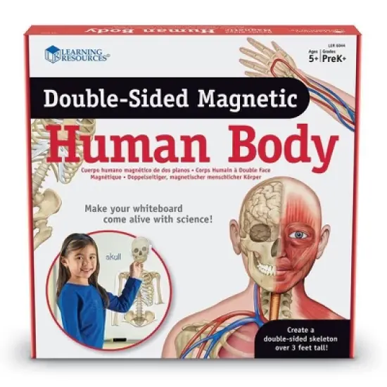 Learning Resources Double-Sided Magnetic Human Body image {2}