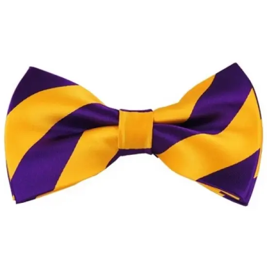 Men's 2.75 W And 4.75 L Inch With Pre-Tied College Stripe Bowtie image {5}