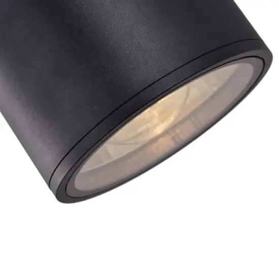 C Cattleya 2-Light Matte Black Cylinder Outdoor Wall Light image {4}