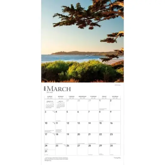 Browntrout 2024 Wall Calendar 12"x12" Tranquility image {2}