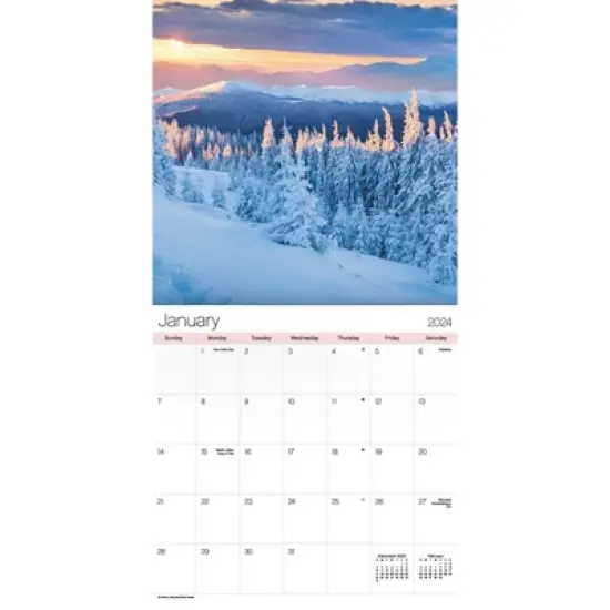 Trends International Inc. 2023-24 Wall Calendar 12"x12" Seasons image {1}