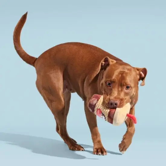 BARK Cold Chew Coffee Dog Toy image {4}
