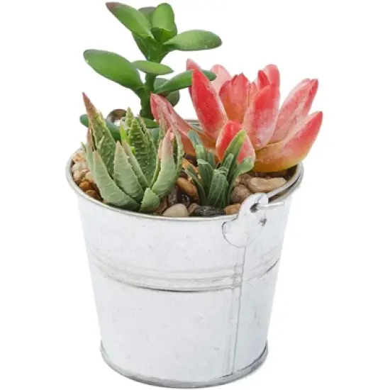 Juvale 4 Pack Artificial Succulents Plants, Faux Fake Cactus with Iron Bucket for Garden & Patio Decor, 6.5 in image {2}