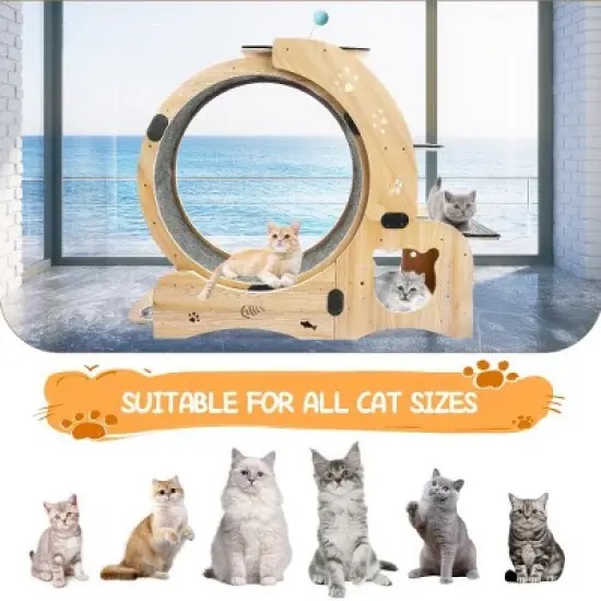 Cat Wheel 4-in-1 Cat Exercise Wheel,Upgraded Cat Wheel Exerciser for Indoor Cats,Large Cat Treadmill,Cat Running Wheel with Silent Wheel image {2}