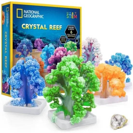 National Geographic Crystal Reef Science Kit image {2}