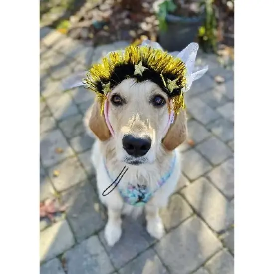 Midlee Sparkle Happy Birthday Dog Headband  (Pink) image {1}