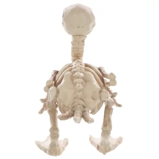 Seasons USA Duck Skeleton Prop Halloween Decoration -  - Off-White image {1}