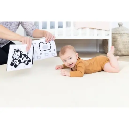 Pearhead Learning Kit for Babies - 0-6m - 8pc image {3}