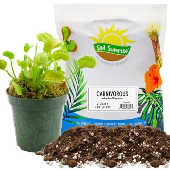 Soil Sunrise Carnivorous Plant Potting Soil Mix for Venus Fly Trap, Pitcher Plants image {10}