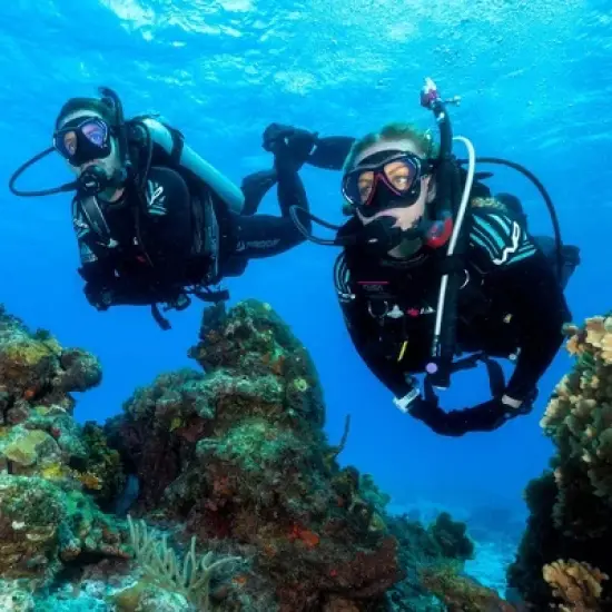 Tusa Hyperdry Elite II Dry Top Snorkel image {2}