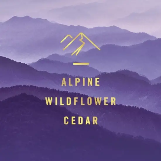 Febreze Plug Variety Pack Air Freshener - Elemental - 2.63 fl oz/3pk image {2}