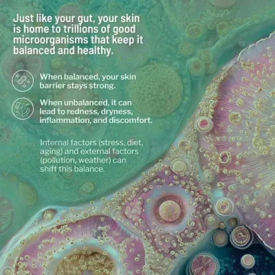 Dr. Brandt Cool Biotic - Prebiotic Redness Cream image {3}