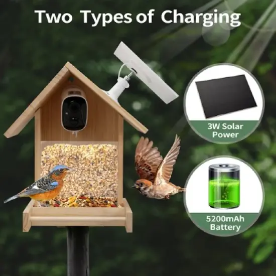 Sandinrayli Smart Bird Feeder with Camera, 1080P HD AI Identify Bird Watching Camera image {6}