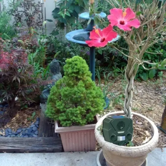 2pk Solar Yard Gard Motion Activated Animal Repeller - Bird-X image {1}