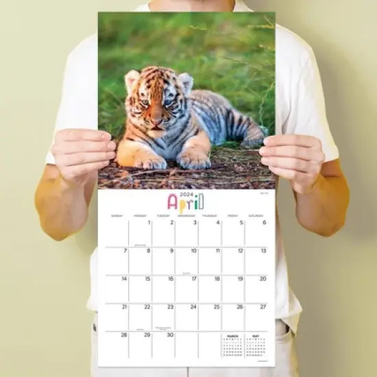 TF Publishing 2024 Wall Calendar 12"x12" Baby Animals image {3}