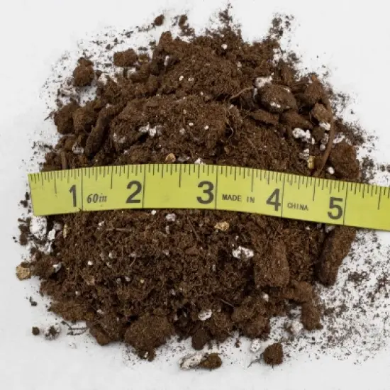 Soil Sunrise 8qt Succulent Potting Soil Mix, Custom Blend image {2}