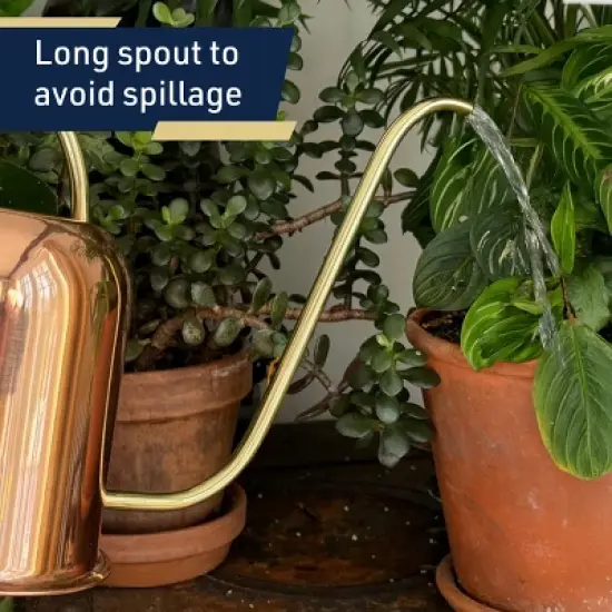 Kings County Tools 48oz Copper Watering Can image {4}