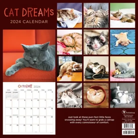 TF Publishing 2024 Wall Calendar 12"x12" Cat Dreams image {4}