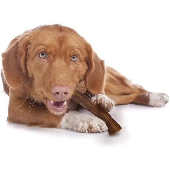 Cadet 6.5 Inch Rawhide Strips 50 Pack image {1}