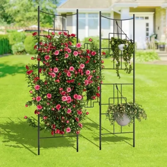 Elegant 2 Rack Baroque Iron Trellis for Climbing Plants, 1.6FT Tall Rustproof Garden Support for Roses, Vegetables, and Indoor Potted Plants image {1}