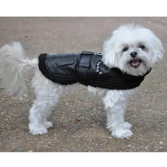 Doggie Design Top Dog Flight Harness Coat-Black image {3}
