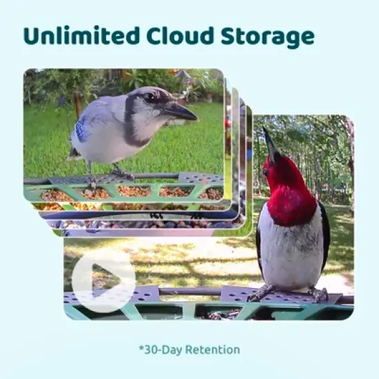 Birdfy Smart Bird Feeder with Camera, 2K Portrait & 1080P Wide-Angle, AI Identifies 6000+ Birds, Weatherproof image {6}