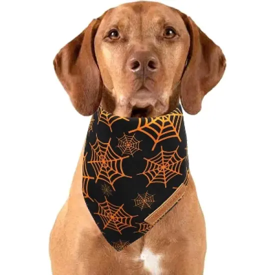 Halloween Dog Bandanas 2 Pack, Pumpkin and Spider Web Bibs, Triangle Reversible Fall Pet Scarf, Premium Durable Fabric, Adjustable Fit image {6}