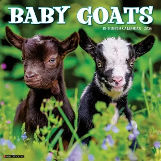 Willow Creek Press 2026 Baby Goats Wall Calendar image {5}