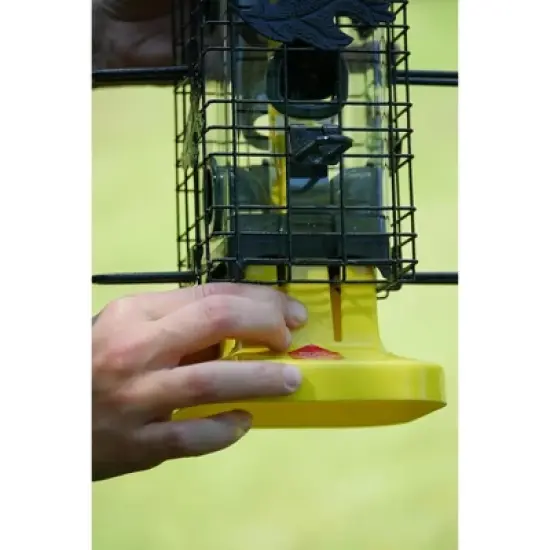Brome Squirrel Solution 200 Squirrel Proof Bird Feeder image {1}