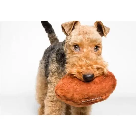 Fluff & Tuff Football Plush Dog Toy image {2}