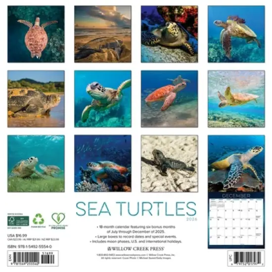 Willow Creek Press 2026 Sea Turtles Wall Calendar image {1}