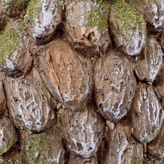 Sunnydaze Hazel the Hedgehog Statue - Indoor/Outdoor Decorative Figurine - 7" image {2}