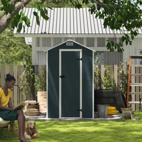 4*8ft resin storage shed, high quality pp material, strong structure, waterproof, rust and UV proof, large storage space,HD window lighting Dark gray image {7}