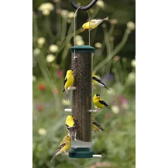 Aspects Spruce Medium Quick Clean Nyjer Thistle Tube Bird Feeder - 1.25 Quart image {2}