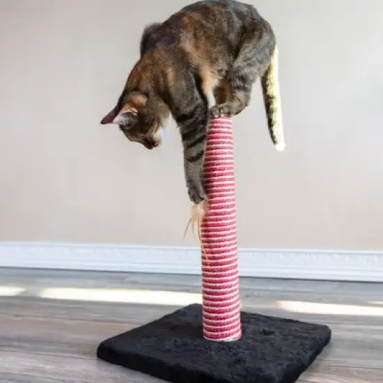 Midlee Candy Cane Christmas Cat Scratcher Post image {3}