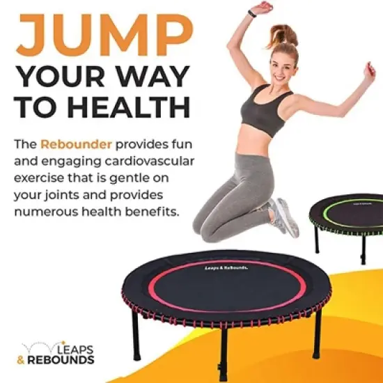 LEAPS & REBOUNDS 48" Round Mini Fitness Trampoline & Rebounder Indoor Home Gym Exercise Equipment Low Impact Workout for Adults, Gray image {2}