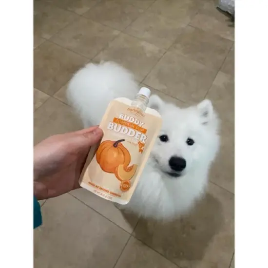 3 Pack Pumpkin Pup Squeeze Pack Buddy Budder (4oz) image {6}