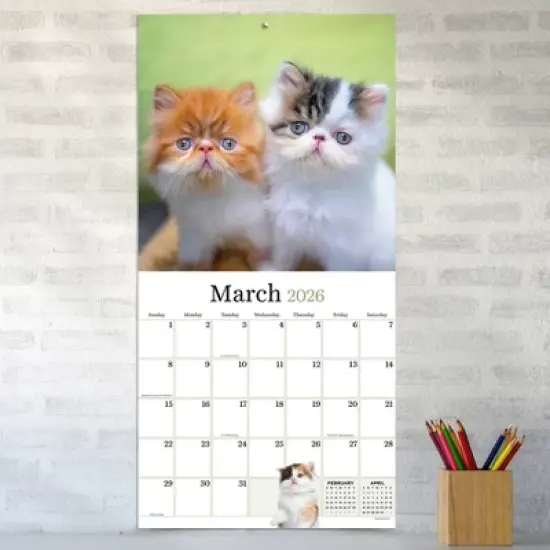 TF Publishing 13.5"x14.5" 2026 Kittens Wall Calendar image {2}