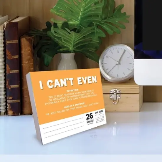 Willow Creek Press 2026 Gen Z Slang Box Calendar image {2}