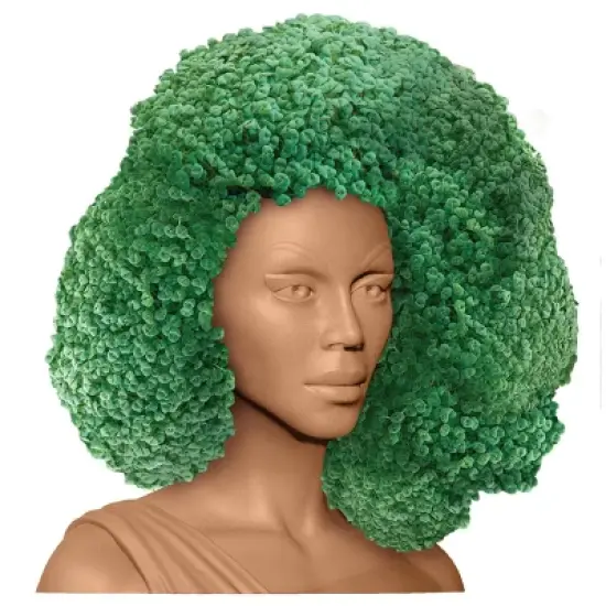 RuPaul Chia Pet - Signed image {1}