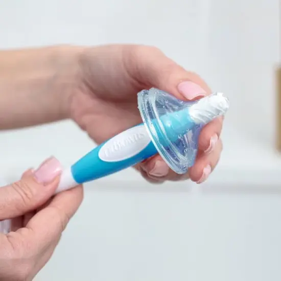 Dr. Brown's Baby Bottle Brush - Sponge and Bristle Brush - 3pk image {3}