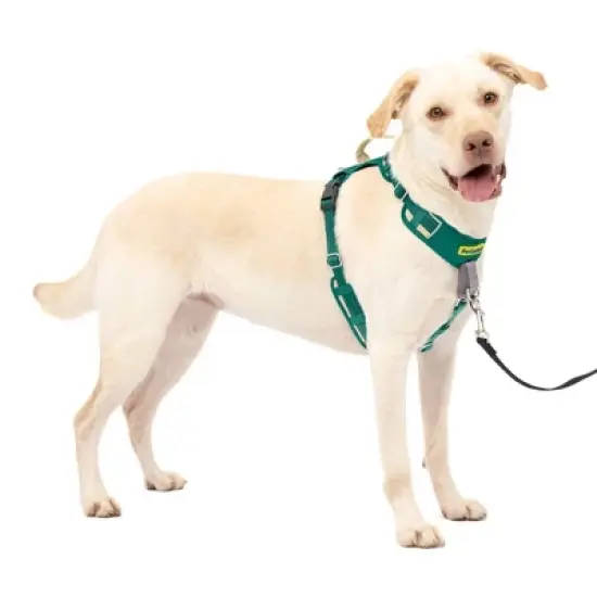 PetSafe Comfort No Pull Adjustable Dog Harness - Green image {10}