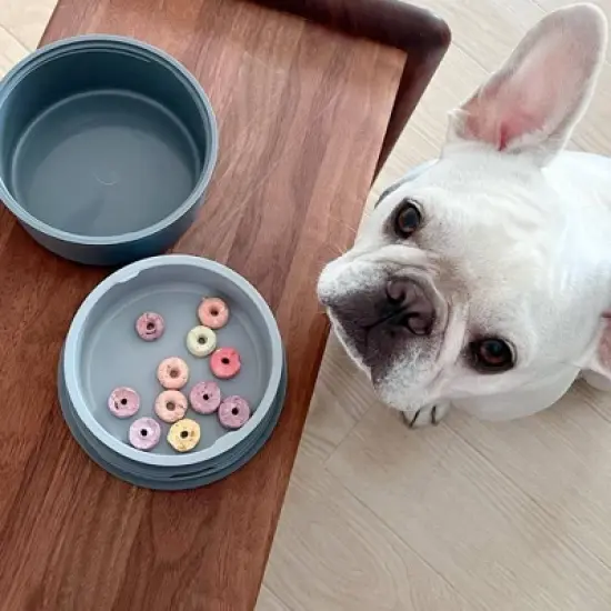 KindTail Portable 2pc Dog Bowl Set  image {6}