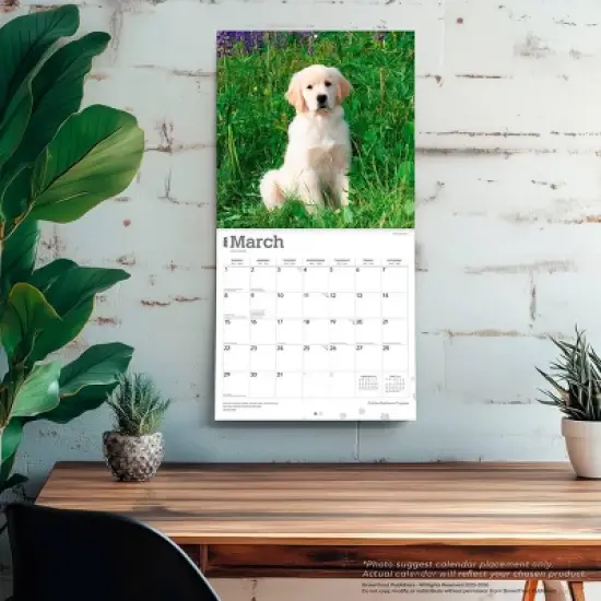 BrownTrout Golden Retriever Puppies 2026 12"x24" Hanging Square Wall Calendar Plastic-Free image {4}