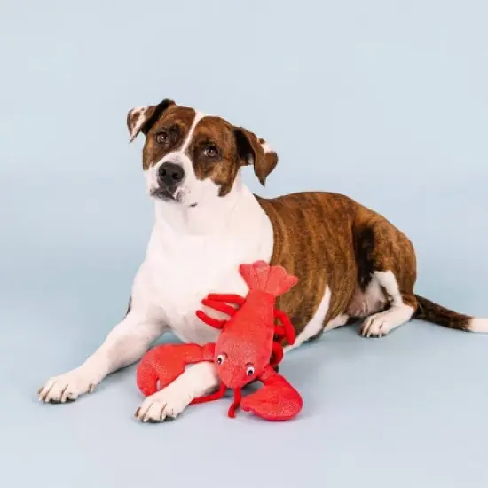 PetShop by Fringe Studio You're My Lobster Plush Dog Toy image {6}