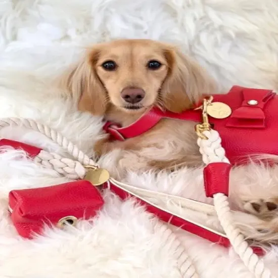 PoisePup - Luxury Pet Dog Leash - Soft Premium Italian Leather and 100% Natural Cotton Rope Leash - Melting Hearts image {2}