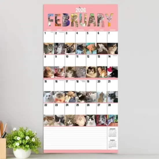 TF Publishing 13.5"x14.5" 2026 Cat-A-Day Wall Calendar image {2}