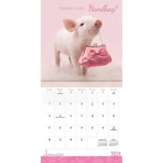 Trends International Inc. 2023-24 Wall Calendar 12"x12" Perfectly Pink image {1}