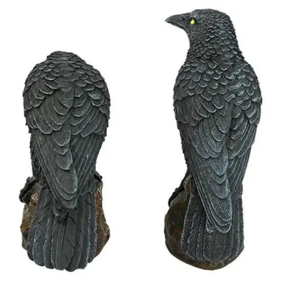 Design Toscano Mystic Night Raven Statues image {4}